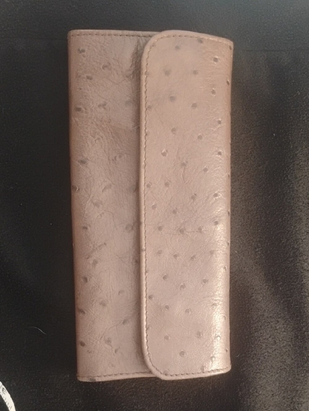 Ostrich-Embossed Long Wallet in Taupe
